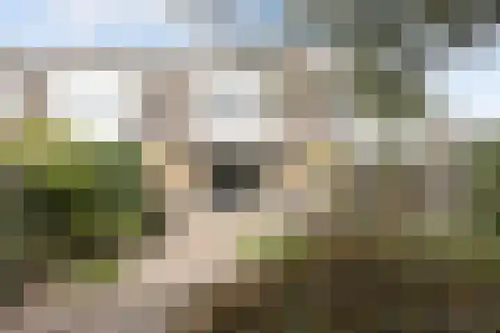 Langvennen-Zuid 107 Oisterwijk thumbnail 39