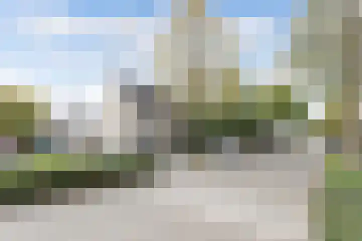 Langvennen-Zuid 107 Oisterwijk thumbnail 41