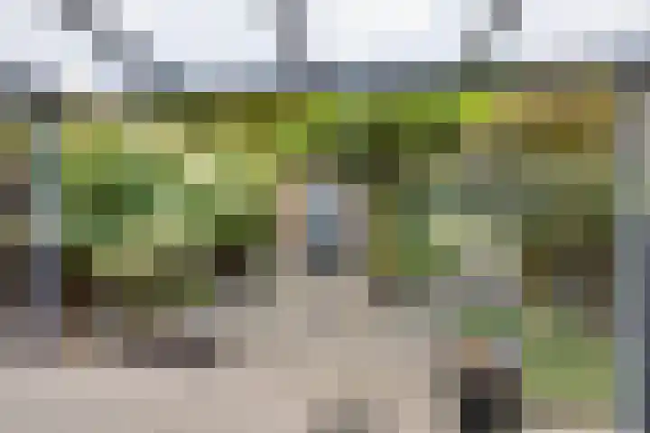 Langvennen-Zuid 55 Oisterwijk thumbnail 26