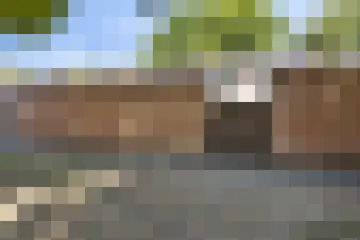 Langvennen-Zuid 55 Oisterwijk thumbnail 32
