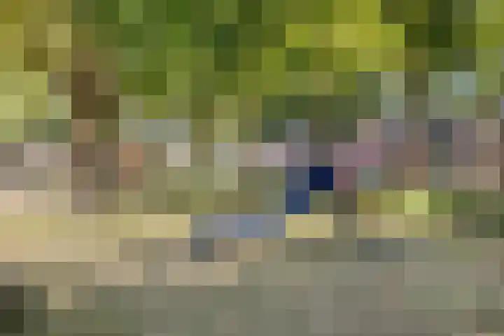 Langvennen-Zuid 55 Oisterwijk thumbnail 33