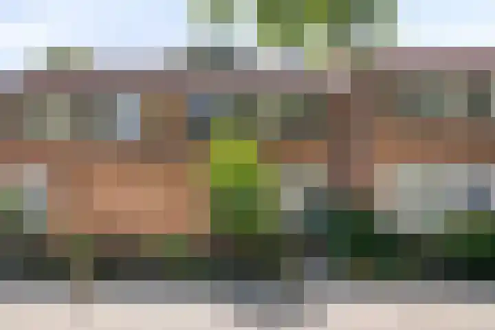 Langvennen-Zuid 55 Oisterwijk thumbnail 35
