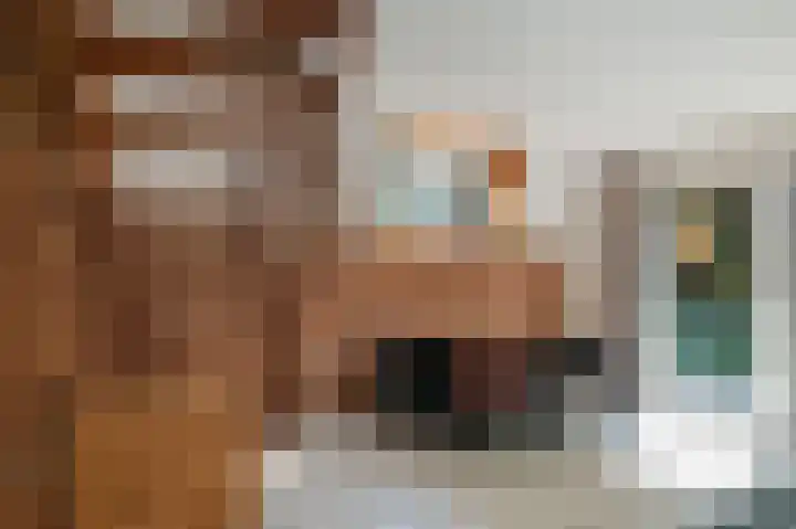 Langwarderdyk 14 0120 Sint Nicolaasga thumbnail 15