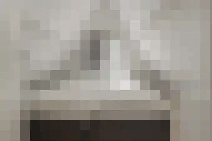 Langwarderdyk 14 0120 Sint Nicolaasga thumbnail 19