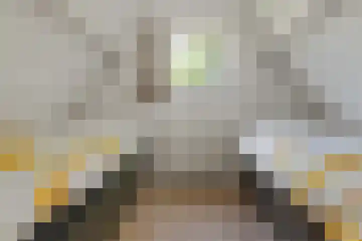 Langwarderdyk 14 0120 Sint Nicolaasga thumbnail 20