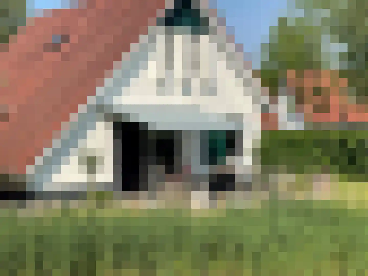Langwarderdyk 16 0003 Sint Nicolaasga thumbnail 5