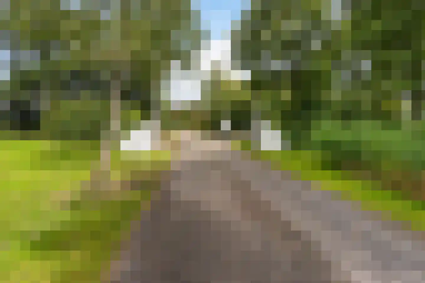 Langwarderdyk 16 0004 Sint Nicolaasga thumbnail 38