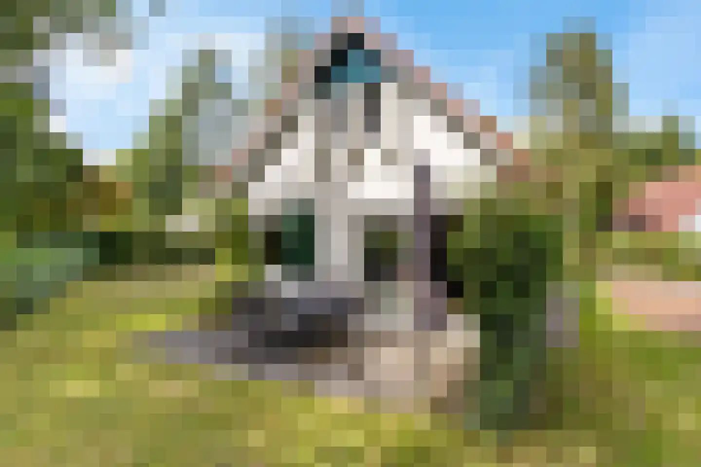 Langwarderdyk 16 0004 Sint Nicolaasga thumbnail 4