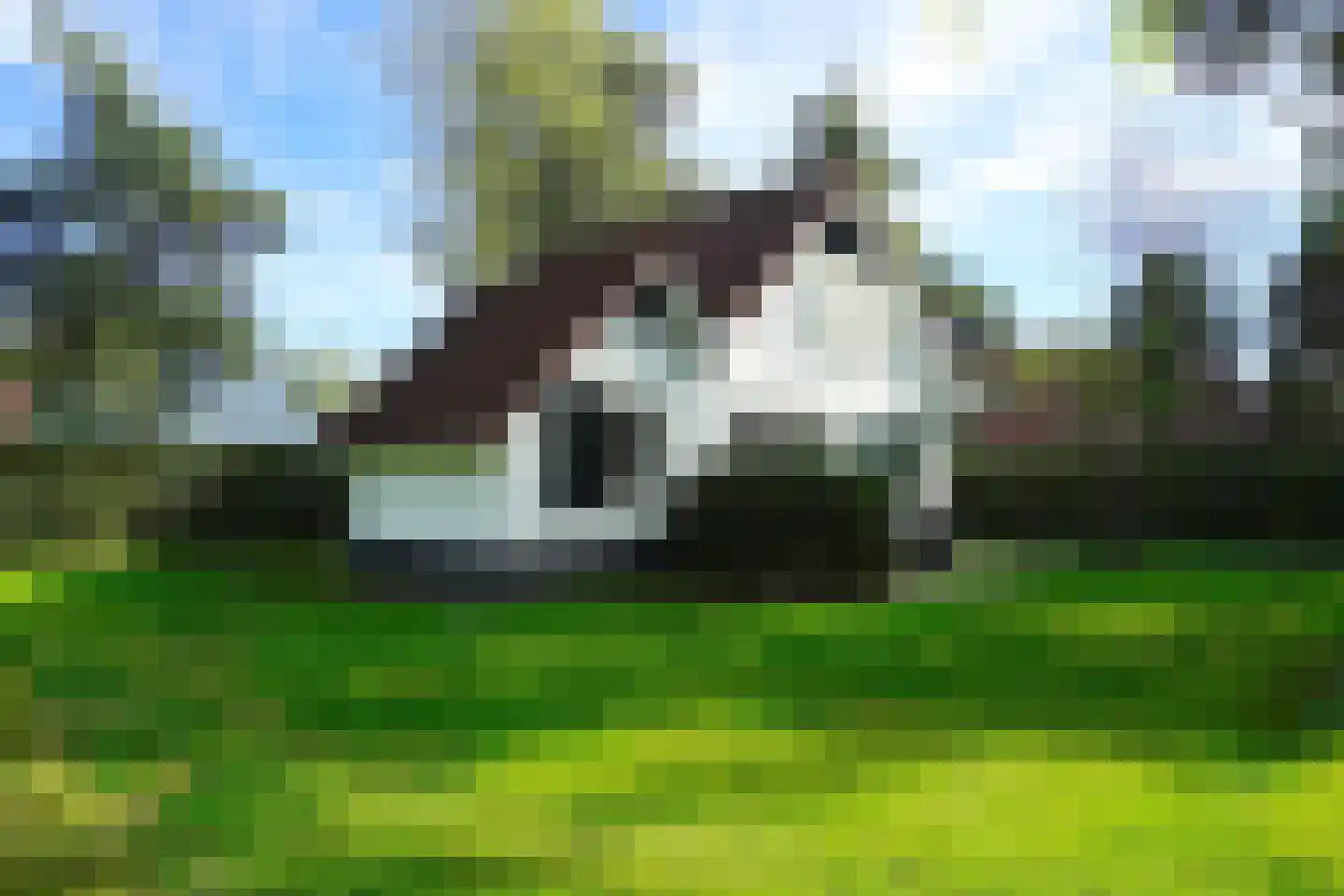 Langwarderdyk 16 0027 Sint Nicolaasga thumbnail 4
