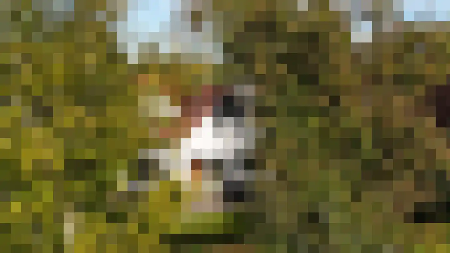 Langwarderdyk 16 0027 Sint Nicolaasga thumbnail 6