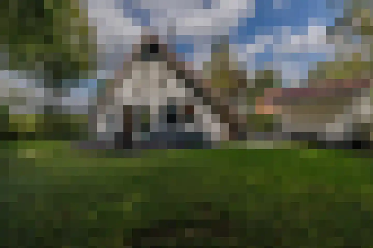 Langwarderdyk 16 0031 Sint Nicolaasga thumbnail 5