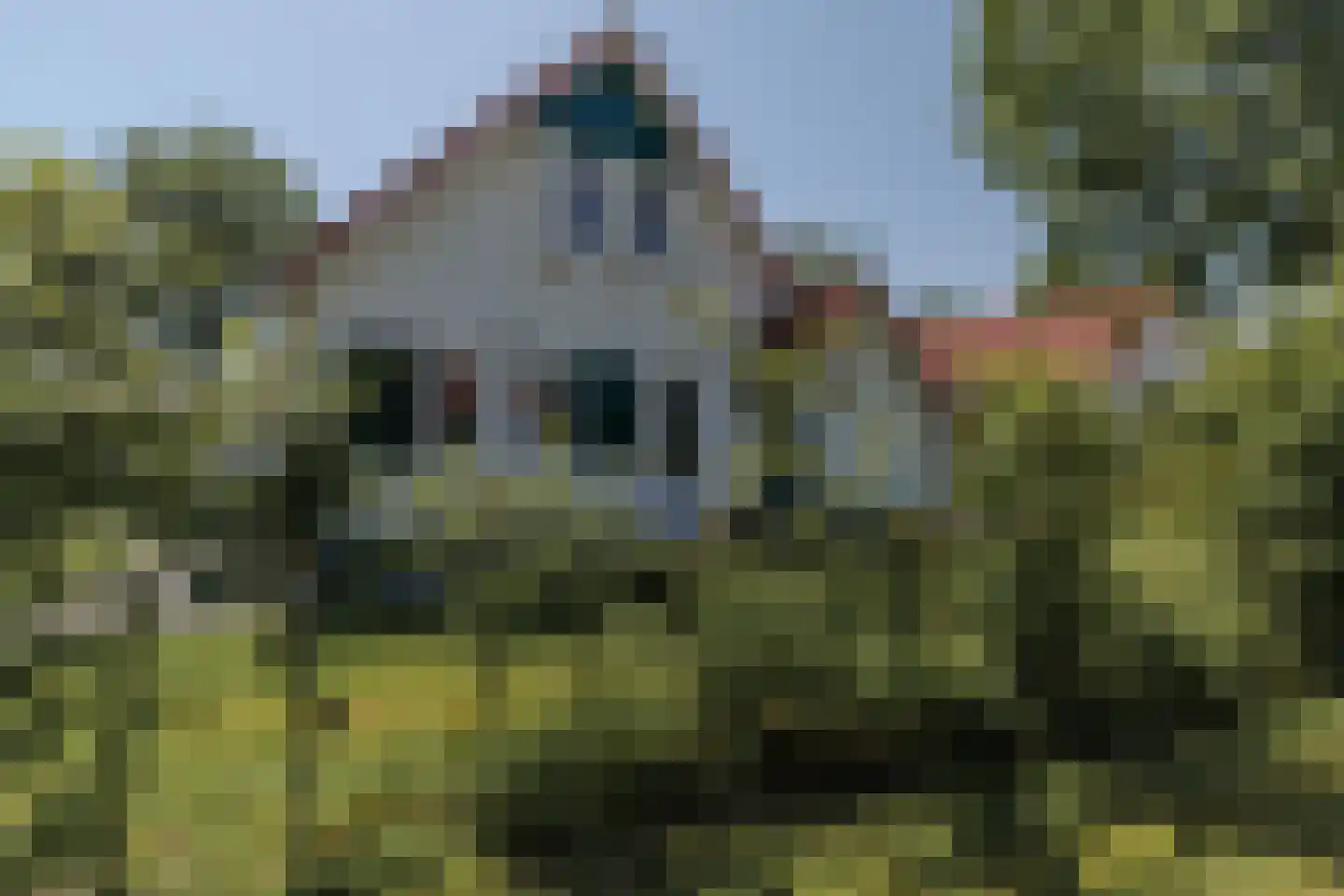 Langwarderdyk 16 0061 Sint Nicolaasga thumbnail 4