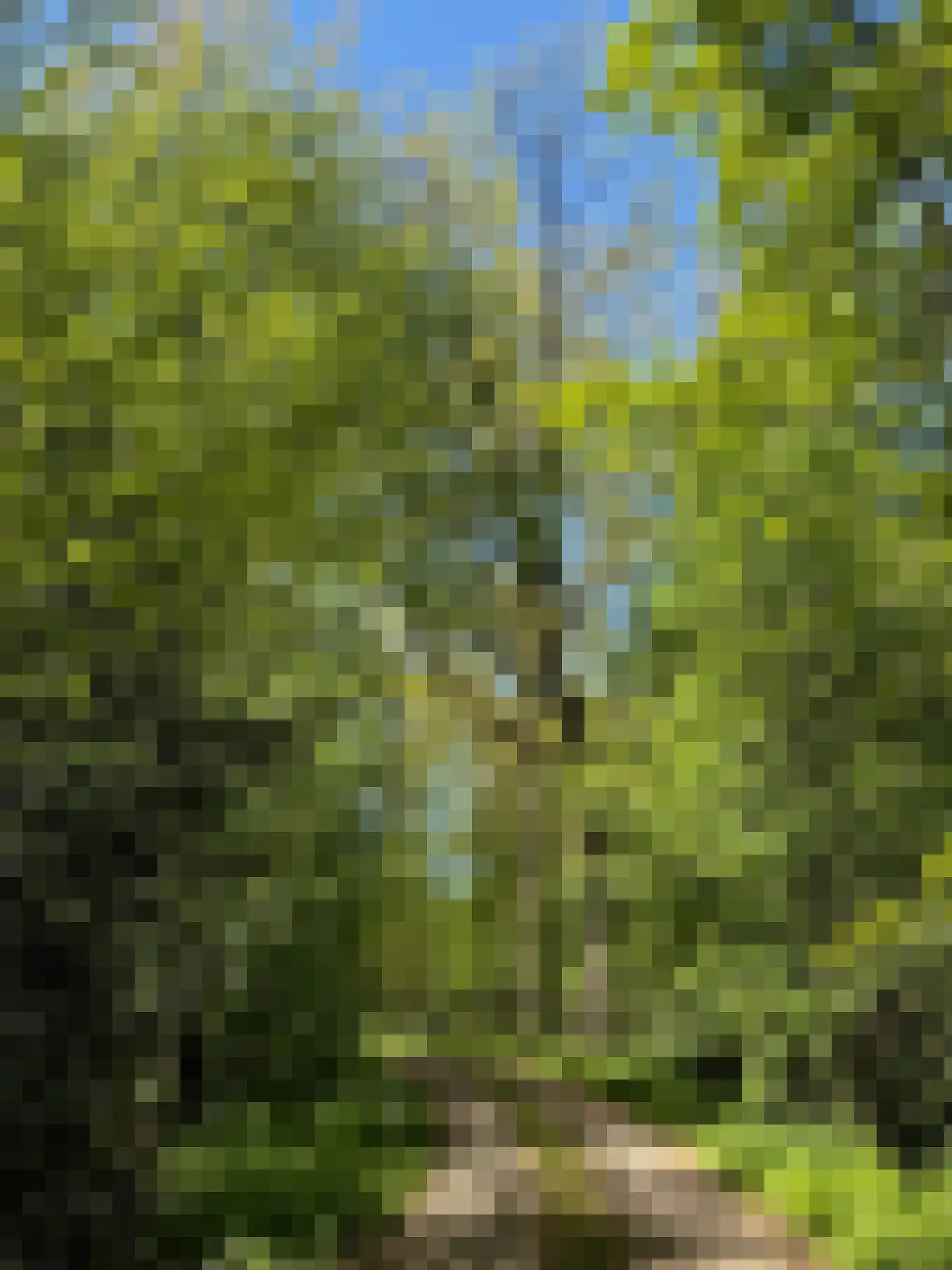 Langwarderdyk 6 0017 Sint Nicolaasga thumbnail 79
