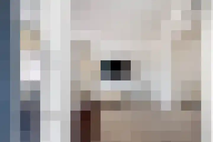 Langweide 11 Wijnandsrade thumbnail 33