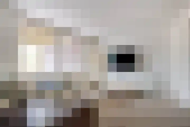 Langweide 11 Wijnandsrade thumbnail 34