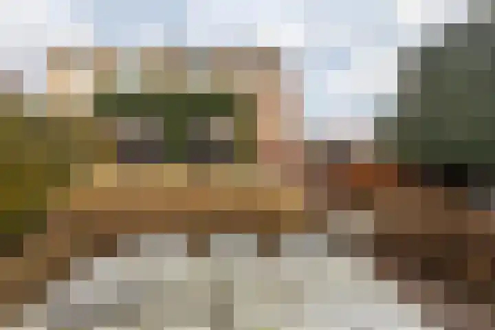 Langweide 11 Wijnandsrade thumbnail 42