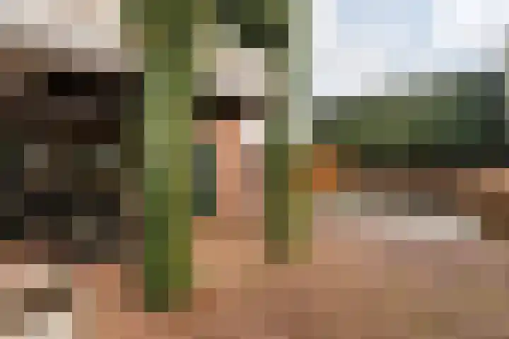 Langweide 11 Wijnandsrade thumbnail 45