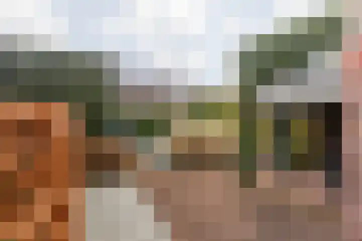 Langweide 11 Wijnandsrade thumbnail 46