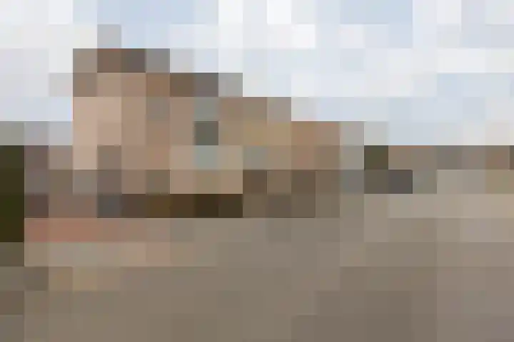 Langweide 11 Wijnandsrade thumbnail 6