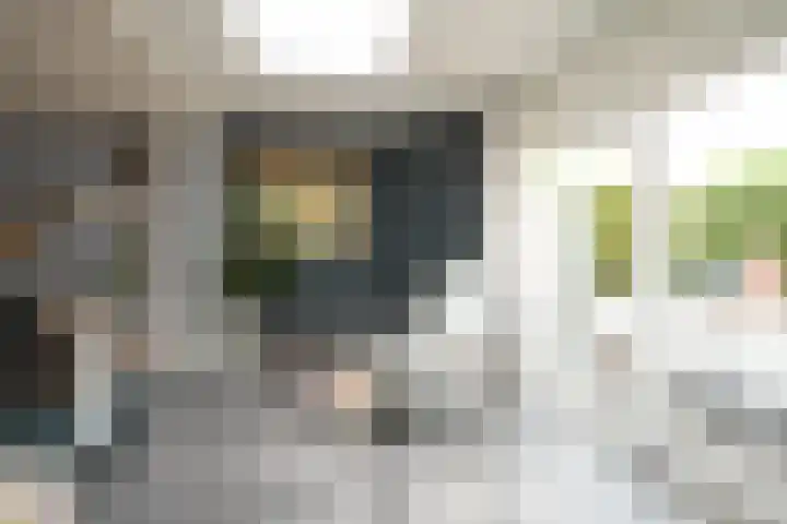 Langweide 6 Beek thumbnail 13