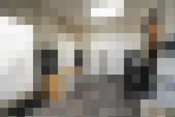 Langweide 6 Beek thumbnail 15