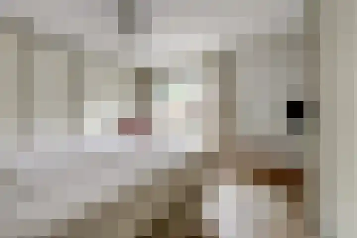 Langweide 6 Beek thumbnail 25