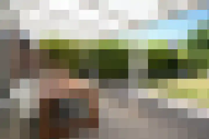 Langweide 6 Beek thumbnail 31