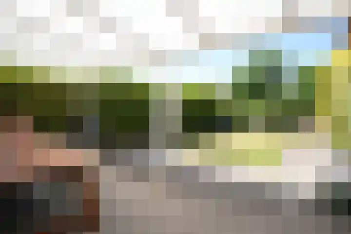 Langweide 6 Beek thumbnail 32