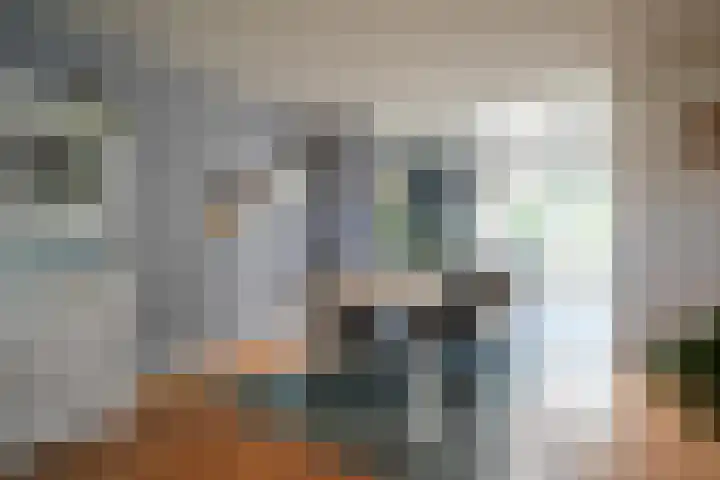 Langweide 6 Beek thumbnail 4