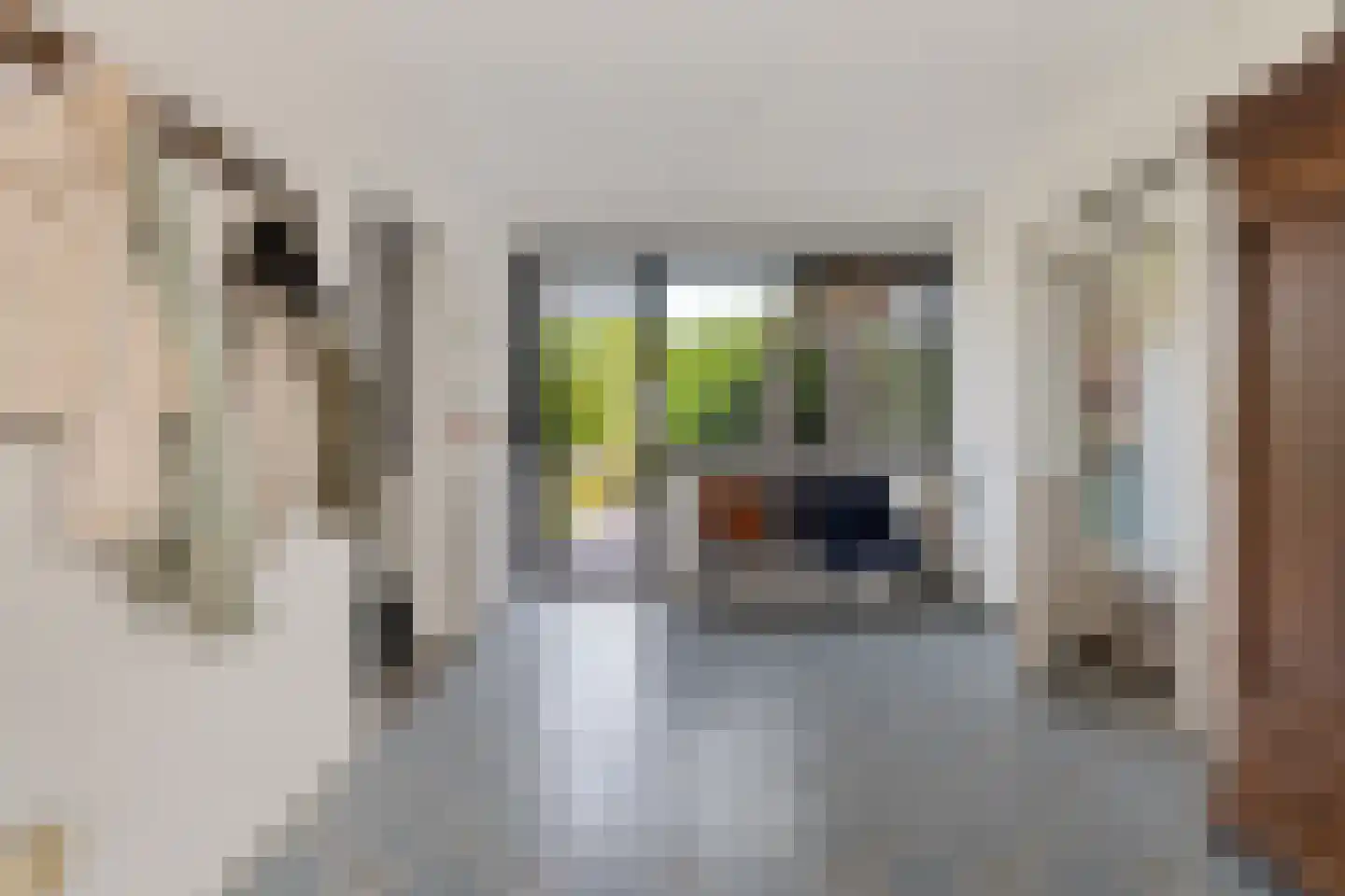 Langwijkstraat 1 Lithoijen thumbnail 18