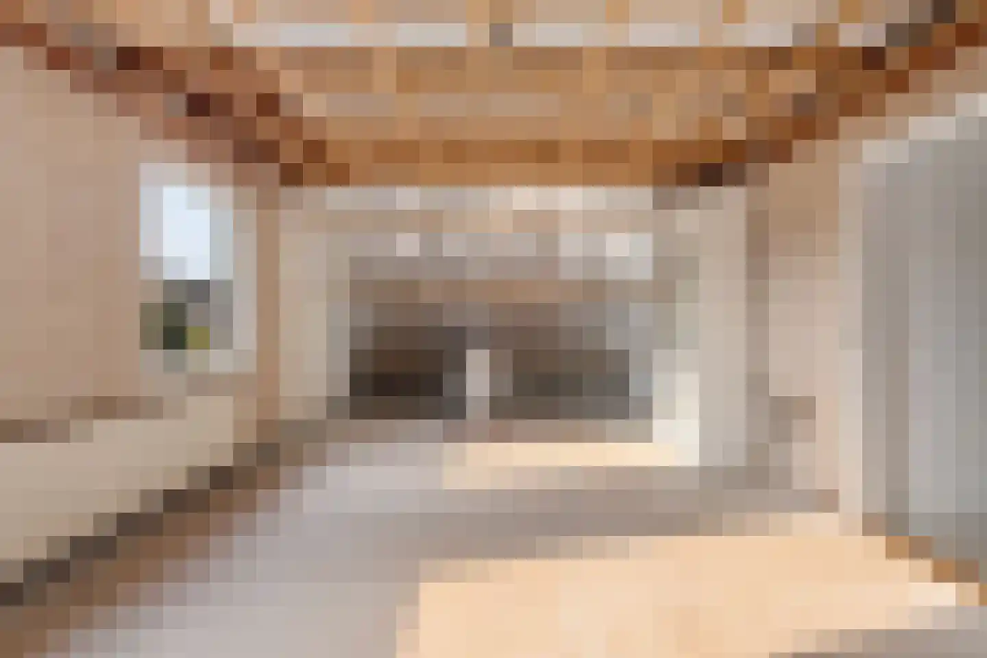 Langwijkstraat 1 Lithoijen thumbnail 38