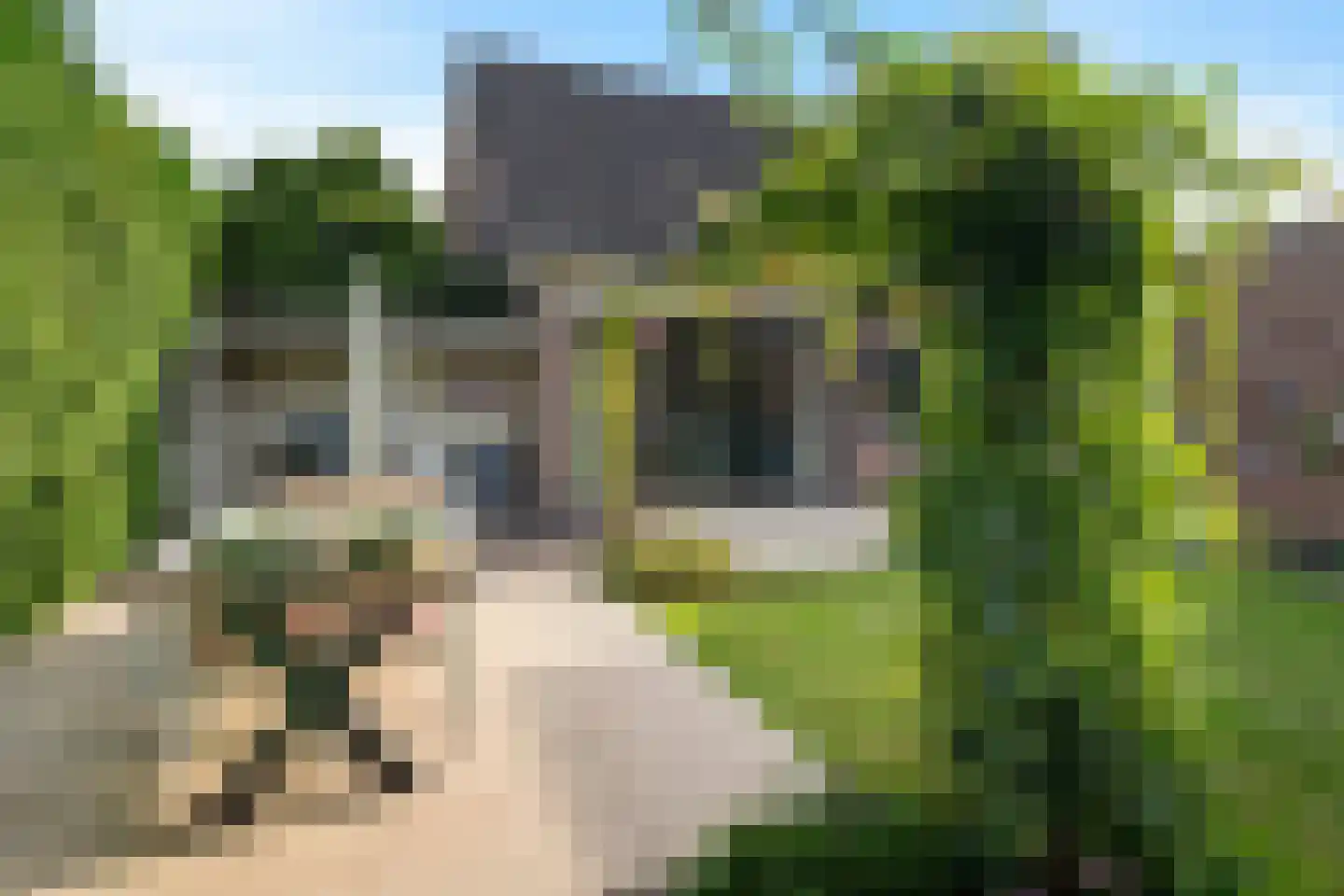 Langwijkstraat 1 Lithoijen thumbnail 40