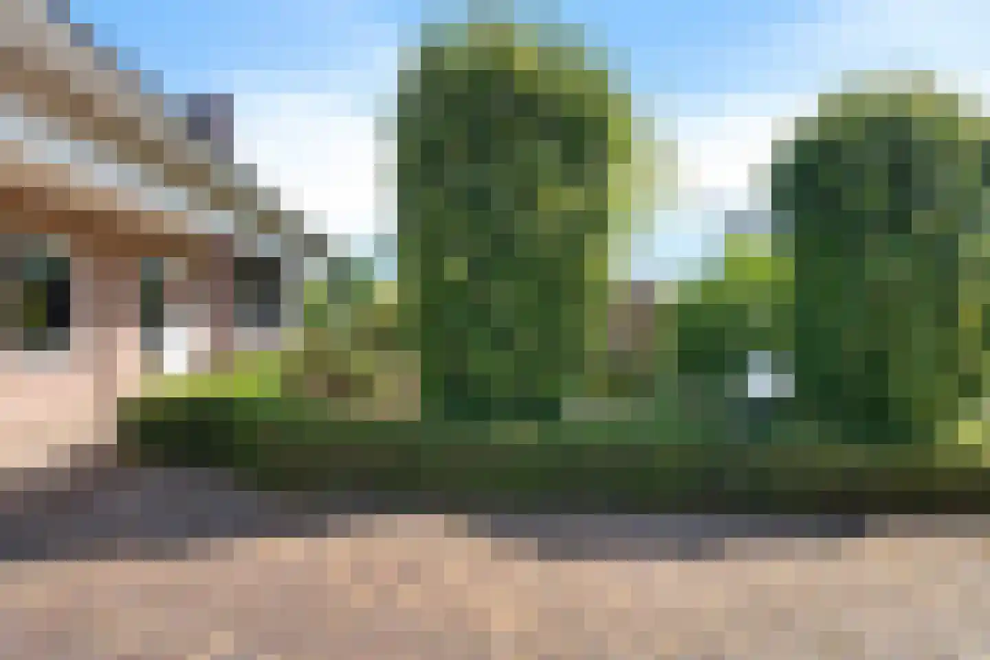 Langwijkstraat 1 Lithoijen thumbnail 47