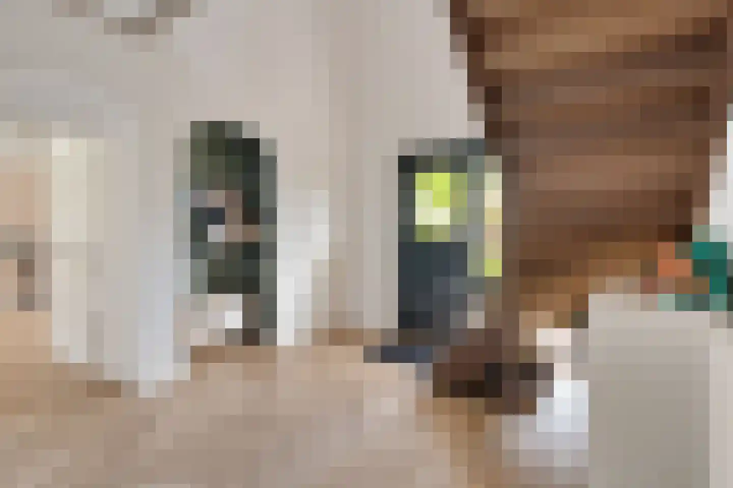 Langwijkstraat 1 Lithoijen thumbnail 8