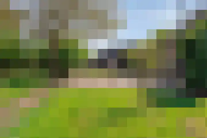 Langwijkstraat 3 Lithoijen thumbnail 31