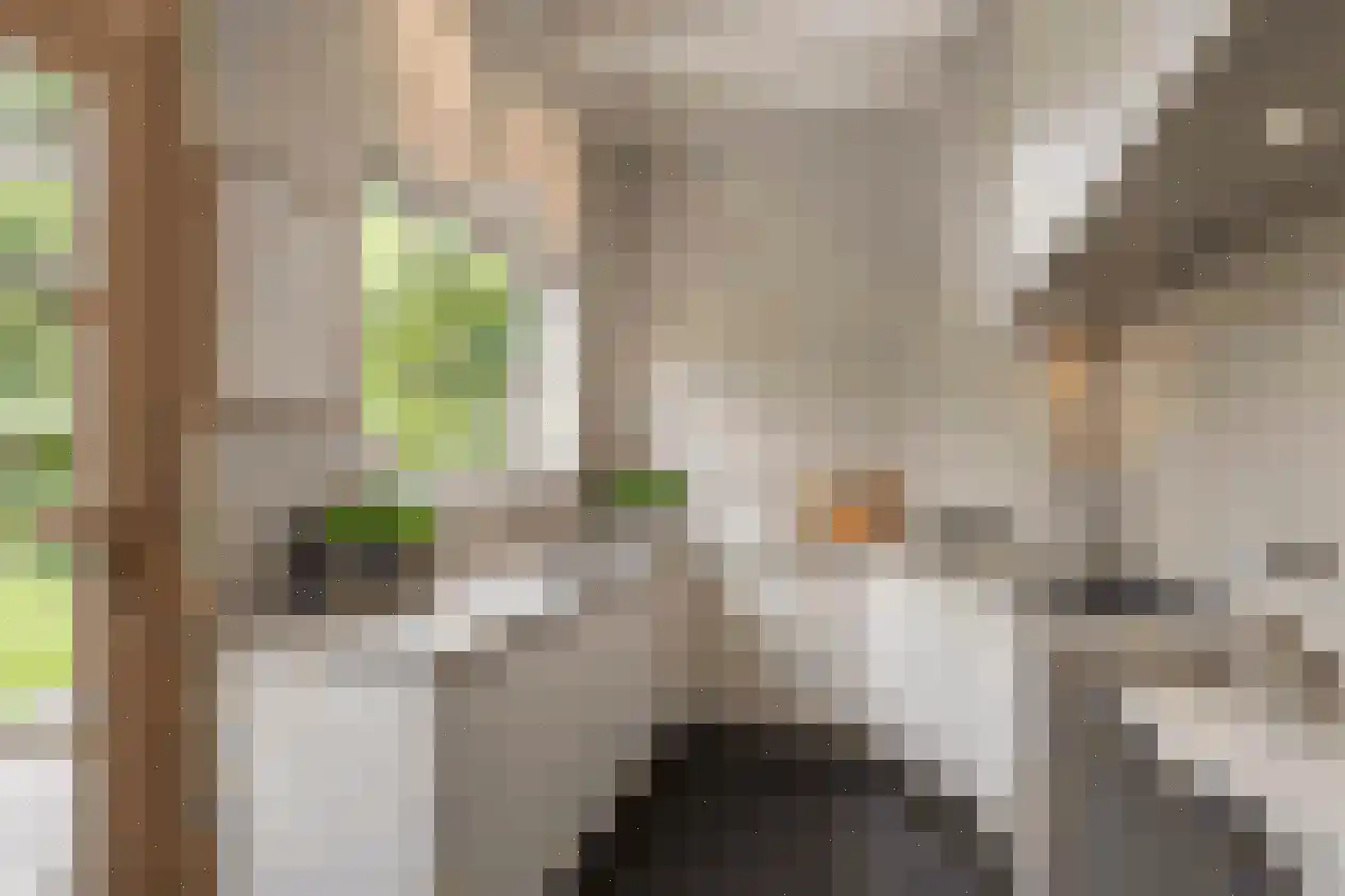 Laningpad 2 Spijkenisse thumbnail 10