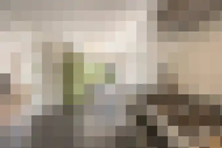 Laningpad 2 Spijkenisse thumbnail 17