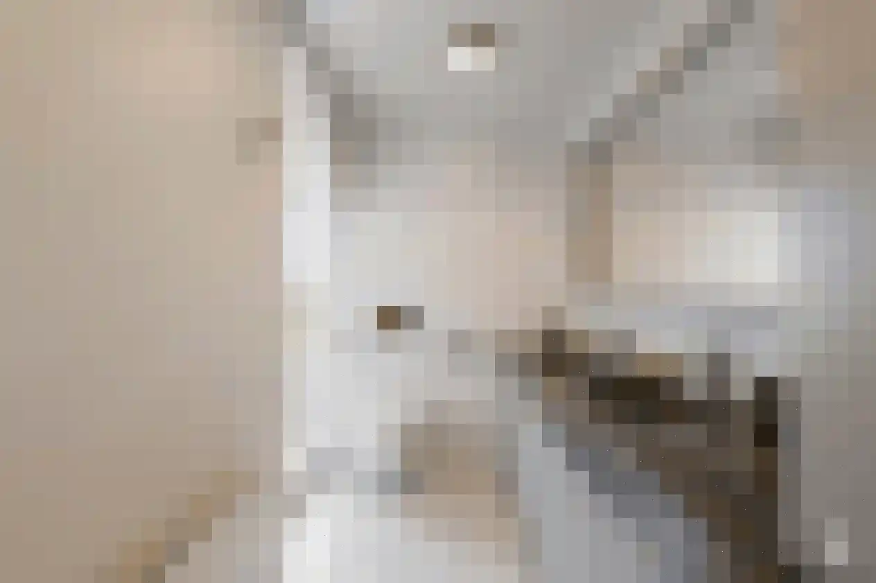 Laningpad 2 Spijkenisse thumbnail 24