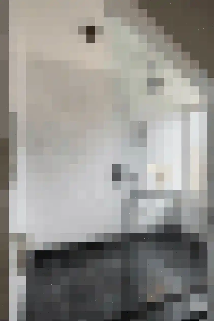 Laningpad 2 Spijkenisse thumbnail 26