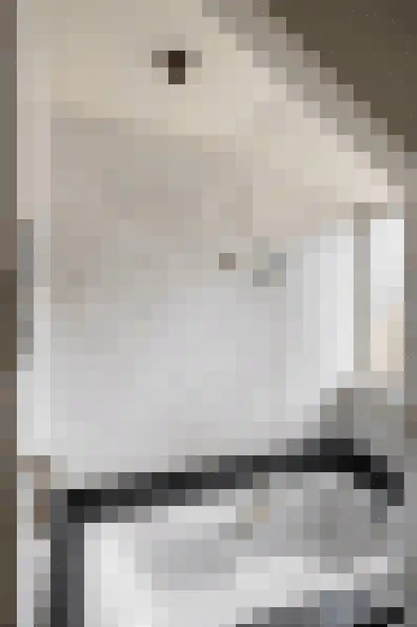 Laningpad 2 Spijkenisse thumbnail 27