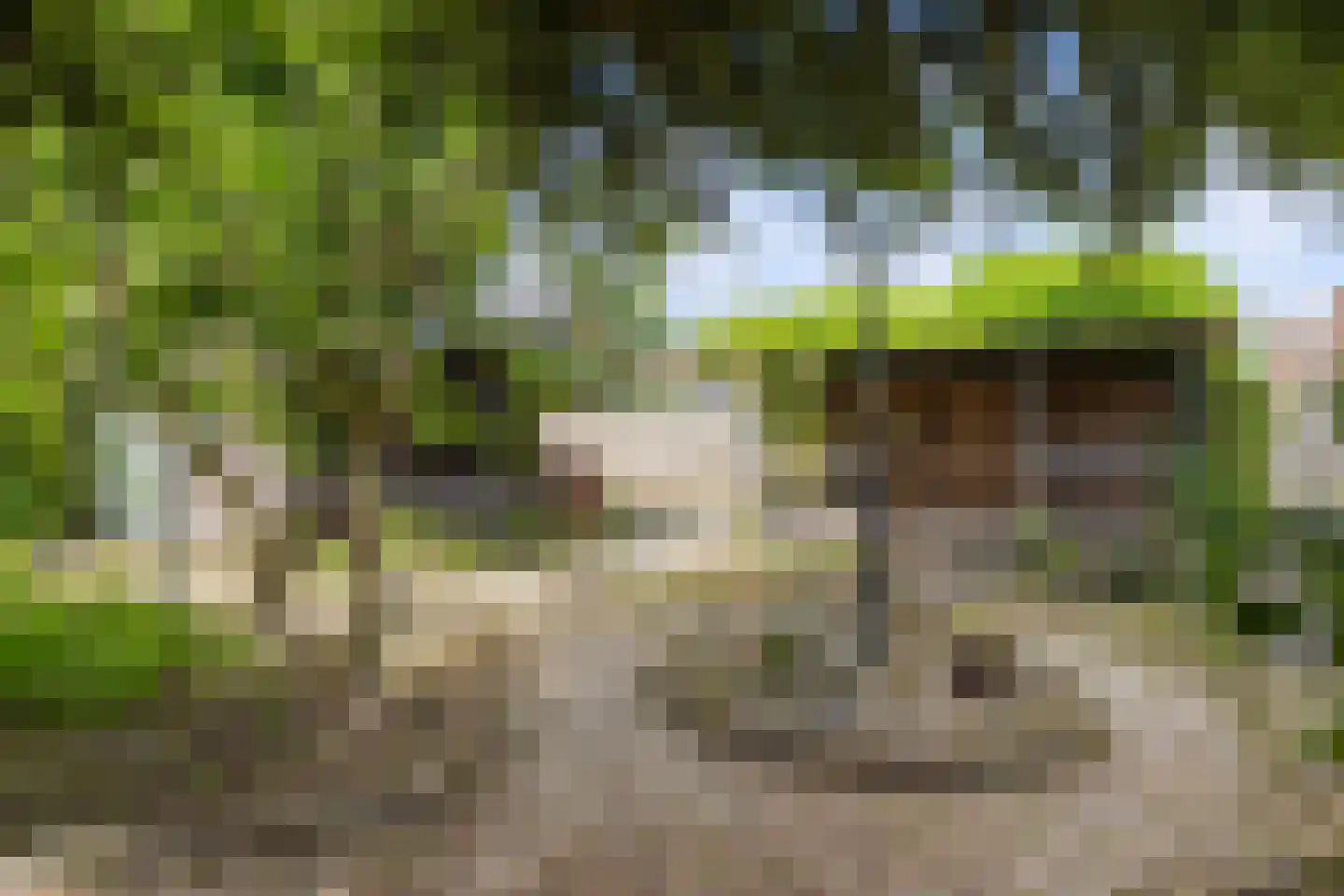 Laningpad 2 Spijkenisse thumbnail 41