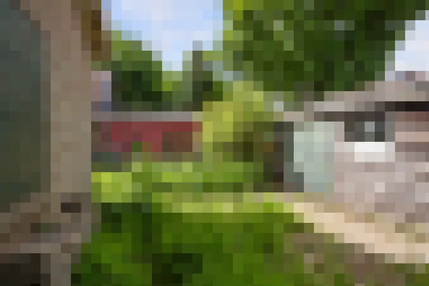 Laningpad 2 Spijkenisse thumbnail 42