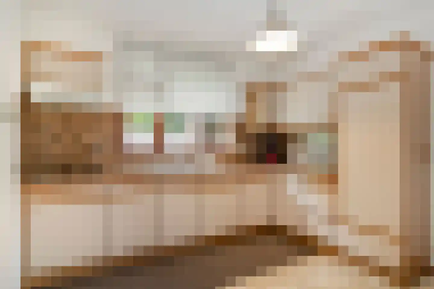 Lankelaar 26 Lieshout thumbnail 10
