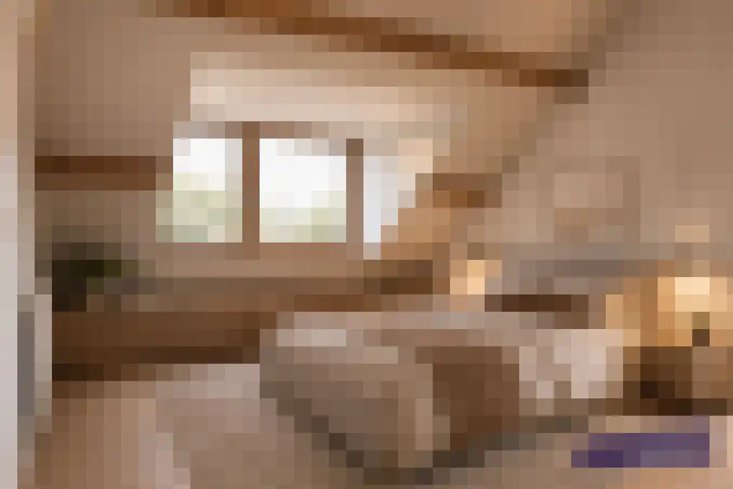 Lankelaar 26 Lieshout thumbnail 27