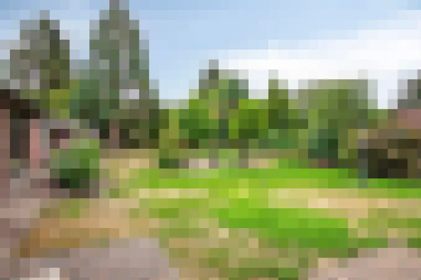 Lankelaar 26 Lieshout thumbnail 29