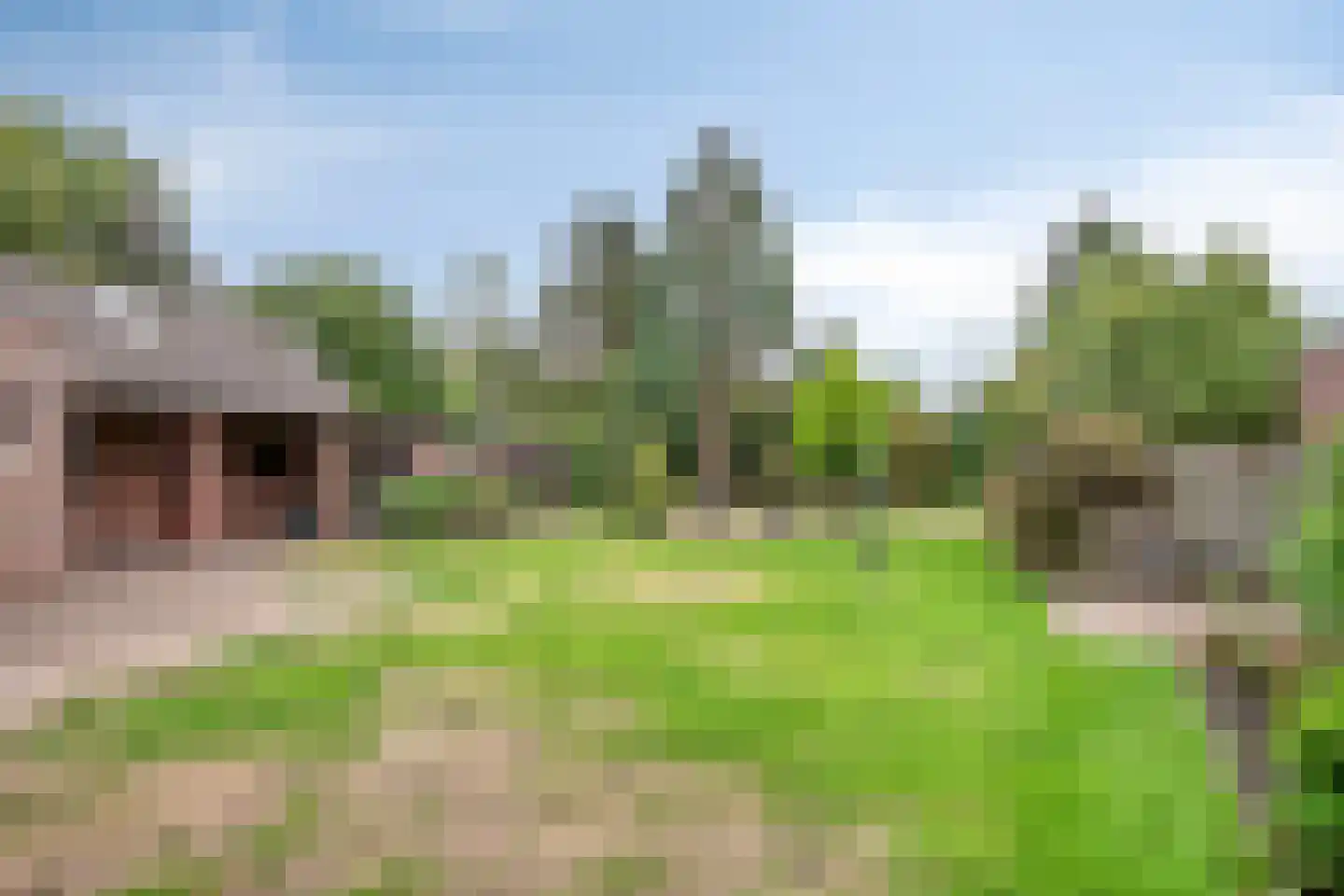 Lankelaar 26 Lieshout thumbnail 30
