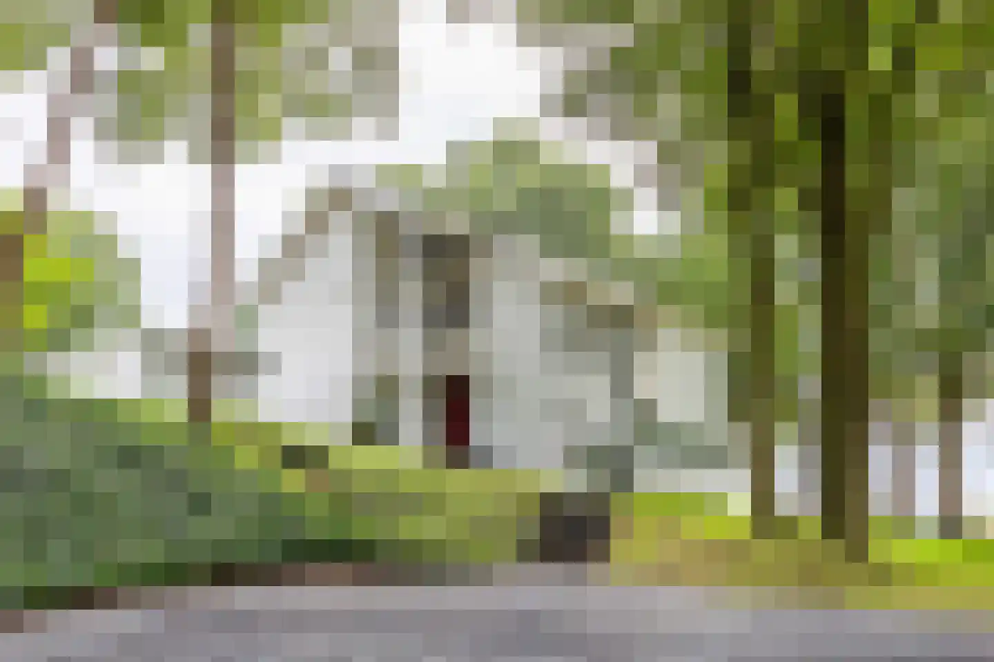 Lankerseweg 3 Heijen thumbnail 102