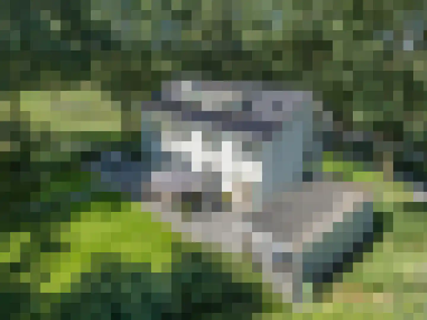 Lankerseweg 3 Heijen thumbnail 112