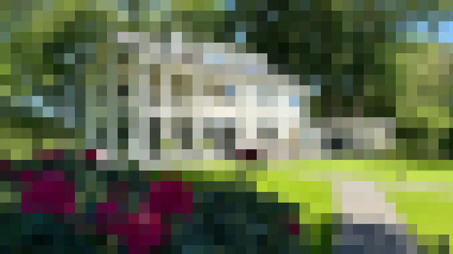 Lankerseweg 3 Heijen thumbnail 115