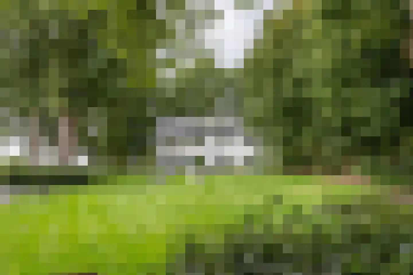 Lankerseweg 3 Heijen thumbnail 119
